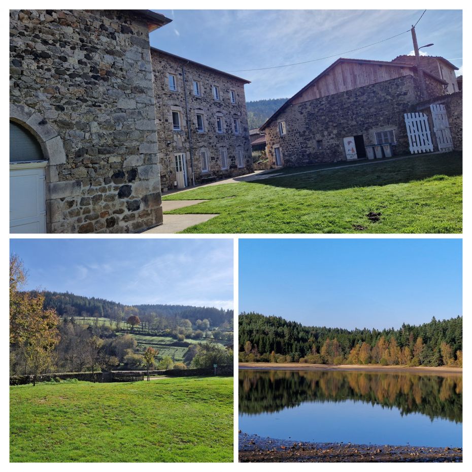 20250103 190642 COLLAGE