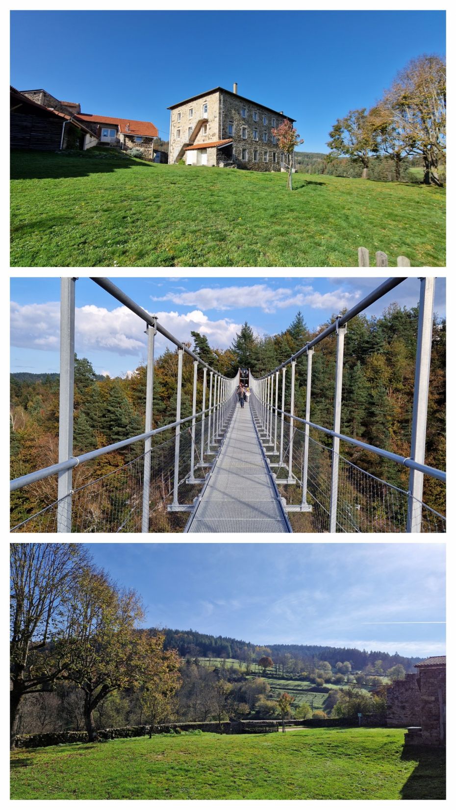 20250103 200456 COLLAGE